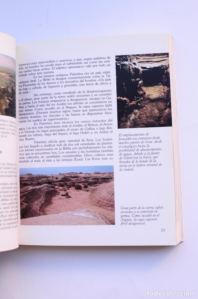 Libros: Jerusal&eacute;n de los Evangelios - GIRONELLA, Jos&eacute; Mar&iacute;a - Foto 6