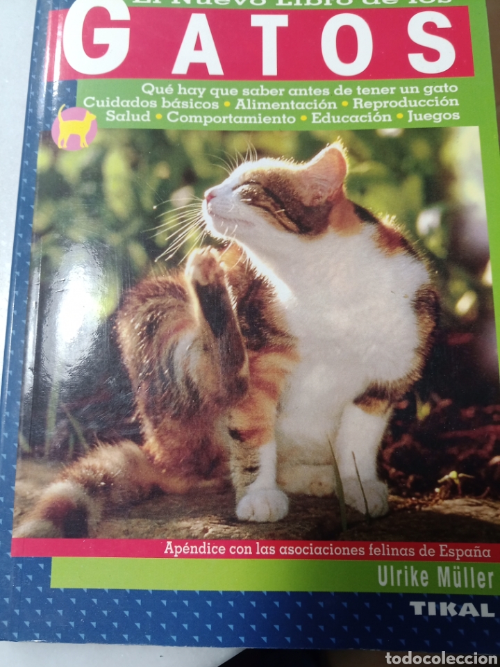 Libros: El nuevo libro de los gatos. Ulrike M&uuml;ller. Tikal - Foto 1