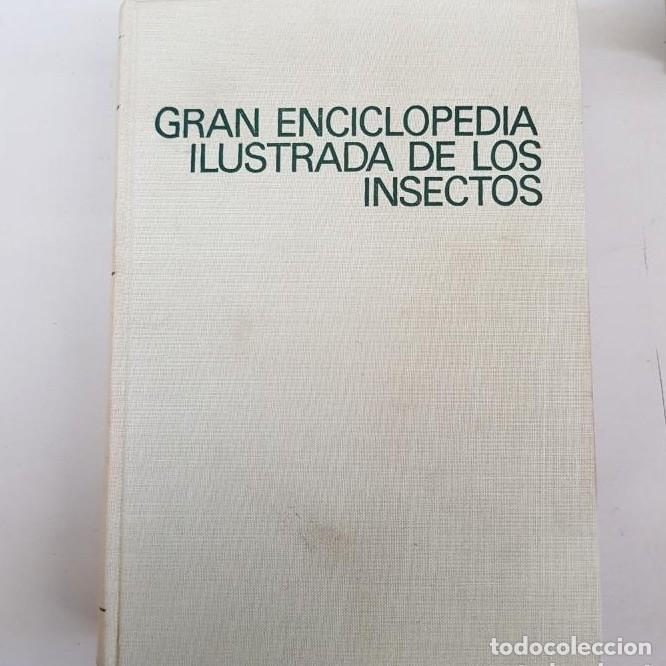 Libros: Gran enciclopedia ilustrada de los insectos - tdk487 - - Foto 1