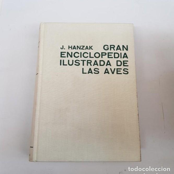 Libros: Gran enciclopedia ilustrada de las aves - tdk487 - - Foto 1