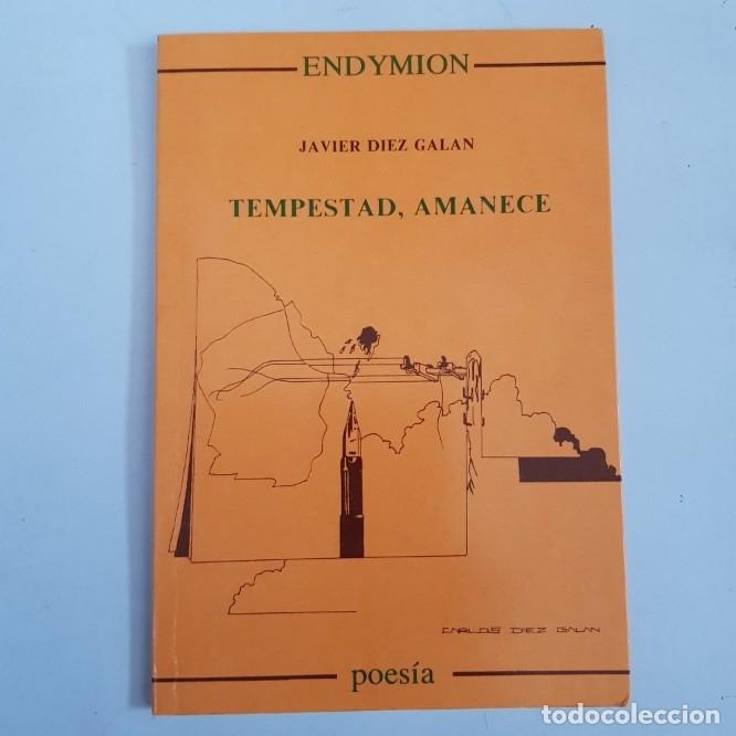 Libros: Tempestad, Amanece - D&iacute;ez Gal&aacute;n Javier - tdk29 - - Foto 1