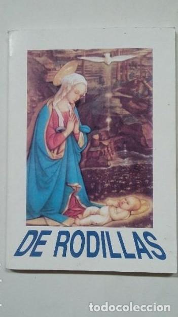 Libros: DE RODILLAS - ALEJANDRO JIMENEZ ALONSO. TDK138 - - Foto 1