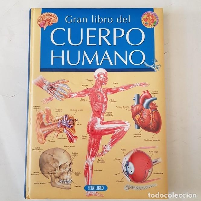 Libros: Gran libro del cuerpo mano - servilibro - arm04 - - Foto 1