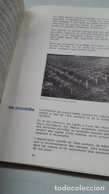 Libros: GUIDE DE LA PLANTATION DES VIGNES. LINSTITUT TECHNIQUE DU VIN. TDK452 - - Foto 2