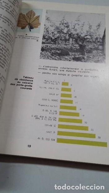 Libros: GUIDE DE LA PLANTATION DES VIGNES. LINSTITUT TECHNIQUE DU VIN. TDK452 - - Foto 3