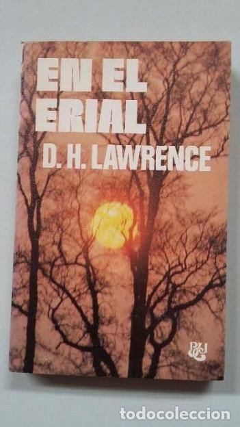 Libros: En el erial. - D. H. Lawrence. TDK344 - - Foto 1