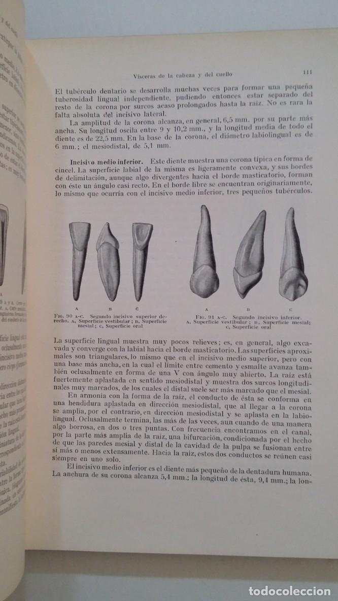 Anatomia Para Dentistas Sicher Harry Tand Buy Unclassified