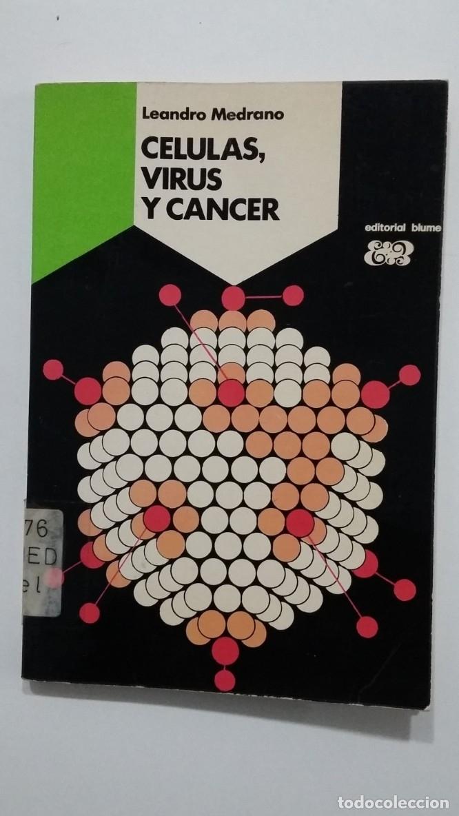 Libros: Celulas, virus y cancer. - Leandro Medrano. EDITORIAL BLUME. TDK427 - - Foto 1