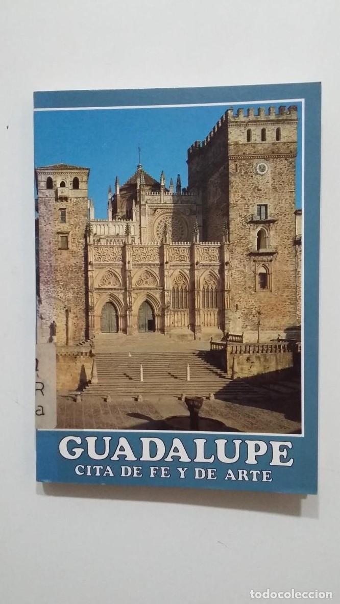 Libros: GUADALUPE. - CITA DE FE Y DE ARTE. TDK431 - - Foto 1