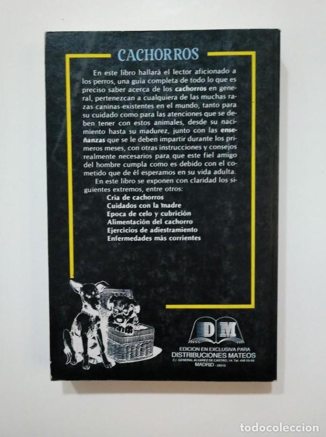 Libros: CACHORROS. - ALAN RUSELL. EDITORS S.A. TDK361 - - Foto 2