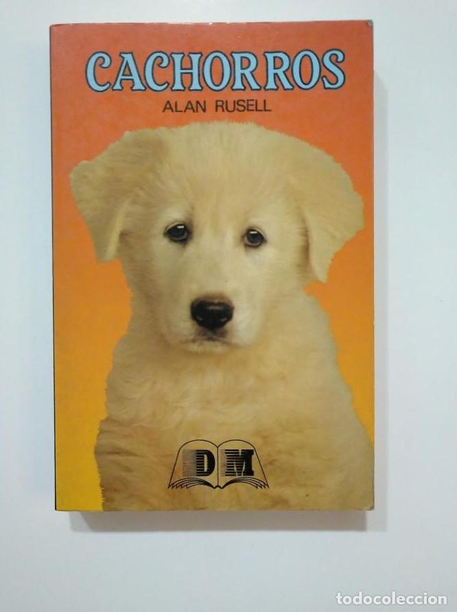 Libros: CACHORROS. - ALAN RUSELL. EDITORS S.A. TDK361 - - Foto 1