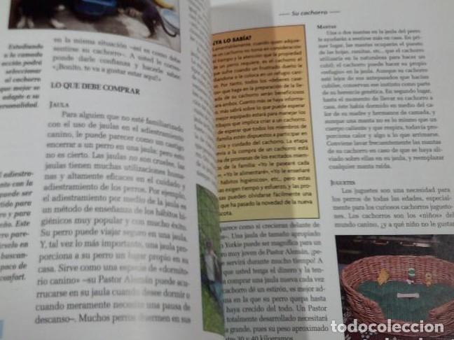 Libros: Pastor Alem&aacute;n. - S. Samms. HISPANO EUROPEA. TDK319 - - Foto 2