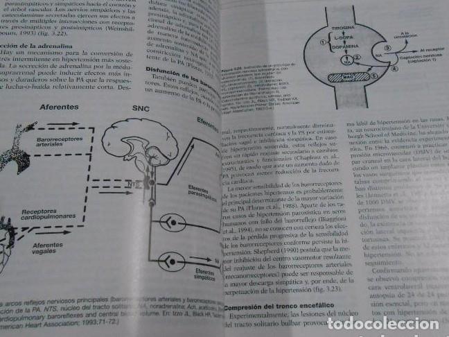 Libros: Hipertensi&oacute;n Cl&iacute;nica. - Kaplan, Norman M. TDK53 - - Foto 2