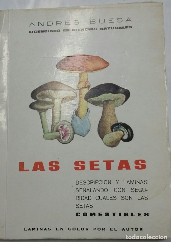 Libros: LAS SETAS - ANDRES BUESA - LAMINAS EN COLOR - TDK236 - - Foto 1