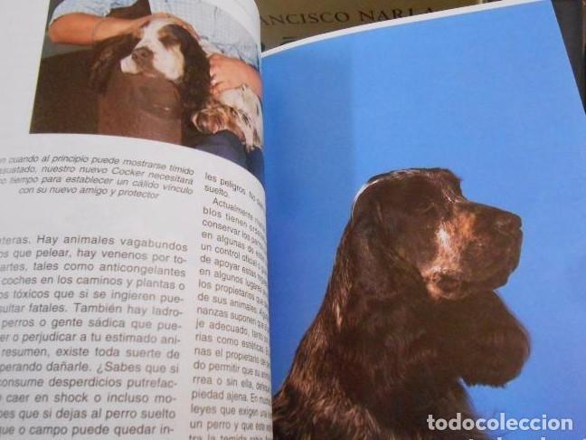 Libros: EL COCKER SPANIEL INGL&Eacute;S. - ROBERT GANNON. - EDITORIAL HISPANO EUROPEA. tdk134 - - Foto 2