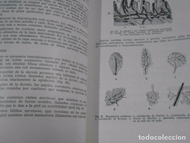 Libros: COMPENDIO DE PODOLOGIA. JULES VERLEYSEN. PARANINFO. TDK297 - - Foto 2