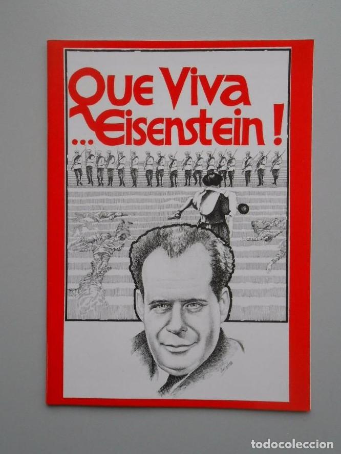 Libros: QUE VIVA EISENTEIN! SERGEI MIJAILOVICH. TDKP5 -