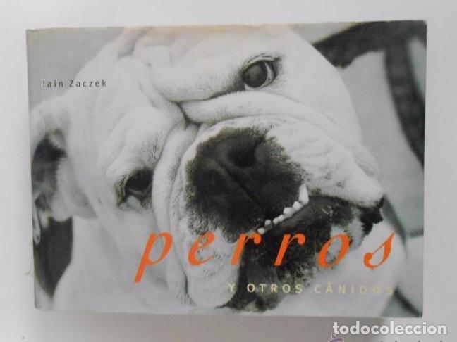 Libros: Perros y otros canidos. - Zaczek, Iain. TDK148 - - Foto 1
