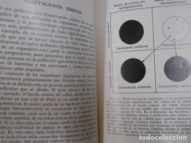 Libros: ADAPTACI&Oacute;N - WALLACE, BRUCE. M. SRB, ADRIAN. TDK231 - - Foto 2