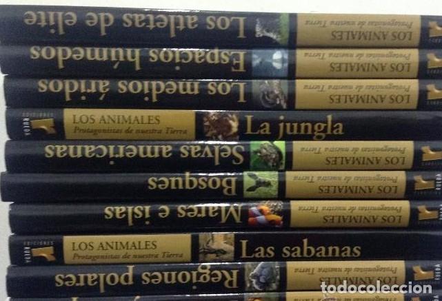 Libros: Los Animales protagonistas de nuestra Tierra 10 tomos - Ed. Rueda - - Foto 1