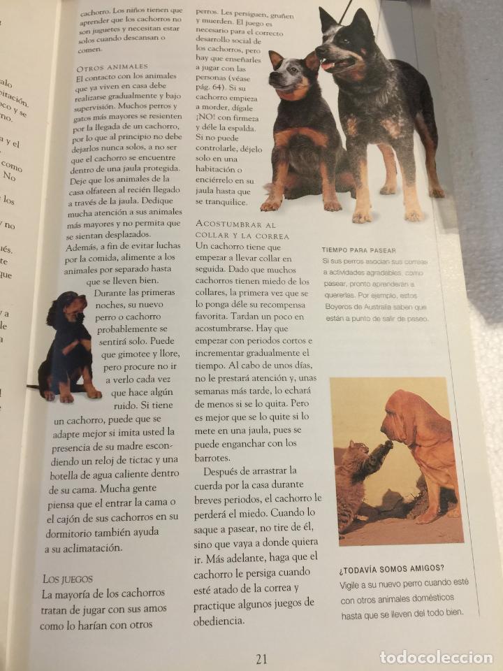 Libros: El gran libro del perro. Manual del propietario - Varios - Foto 2