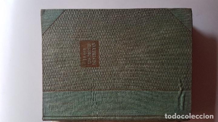Libros: LO QUE LOS DIOSES DESTRUYEN - LOVAT Dickson - Foto 2