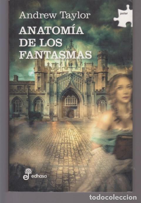 Libros: ANATOMIA DE LOS FANTASMAS - ANDREW TAYLOR - Foto 1