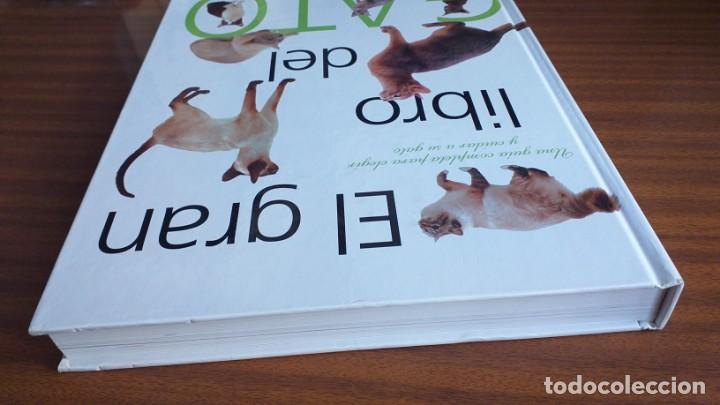Libros: El gran libro del gato - Foto 4