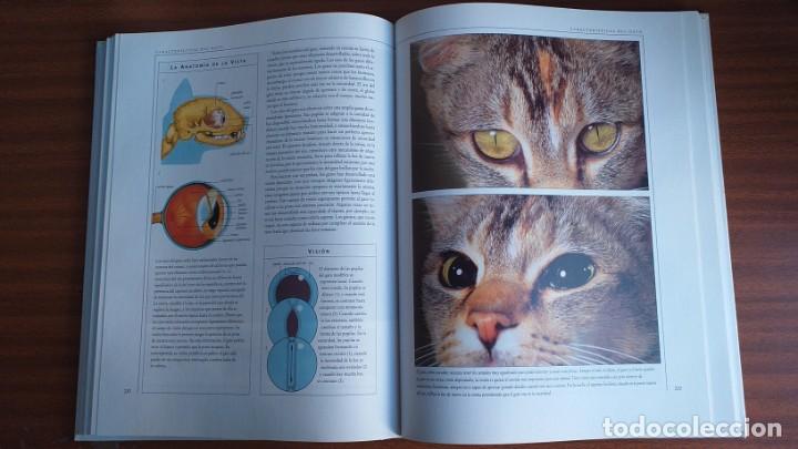 Libros: El gran libro del gato - Foto 5