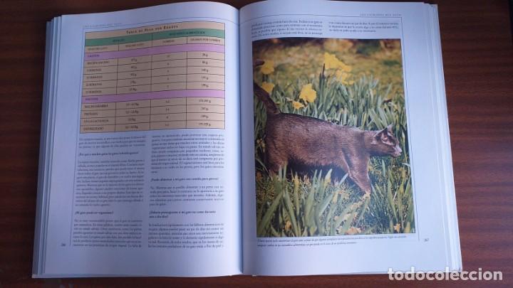 Libros: El gran libro del gato - Foto 6