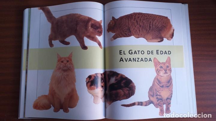 Libros: El gran libro del gato - Foto 7