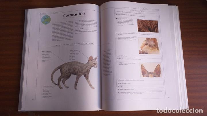 Libros: El gran libro del gato - Foto 8