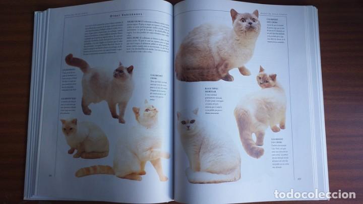 Libros: El gran libro del gato - Foto 9