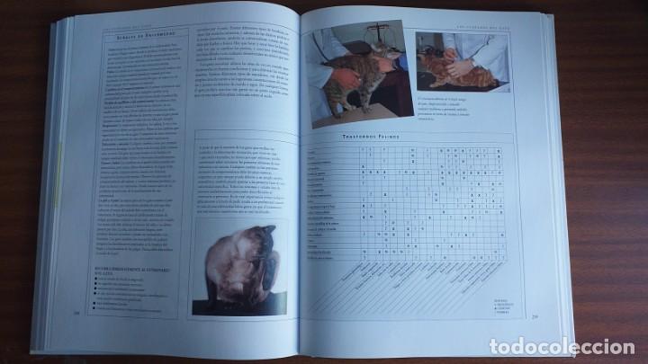 Libros: El gran libro del gato - Foto 10