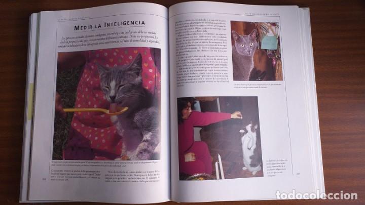 Libros: El gran libro del gato - Foto 11