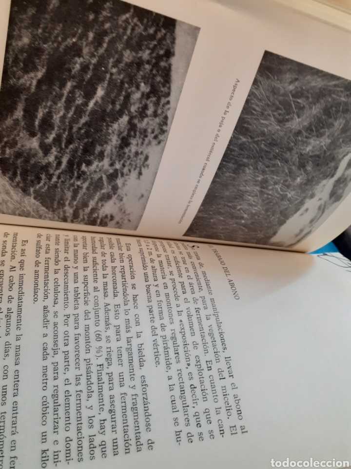 Libros: EL CHAMPI&Ntilde;ON DE PARIS. Concepci&oacute;n moderna - ALBAS, Jacques - Foto 4