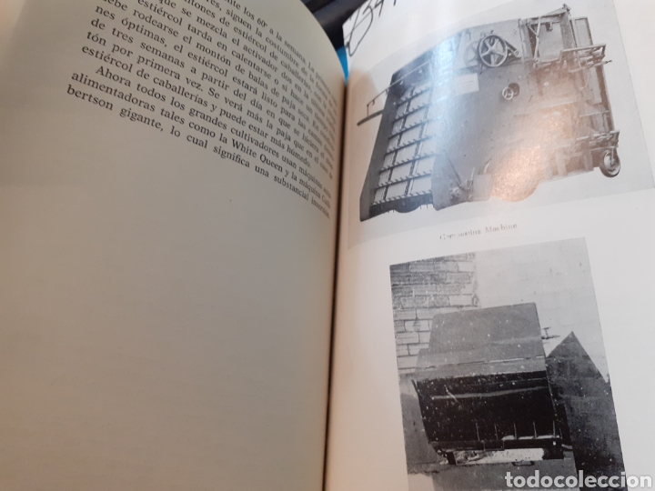 Libros: EL CHAMPI&Ntilde;ON DE PARIS. Concepci&oacute;n moderna - ALBAS, Jacques - Foto 5