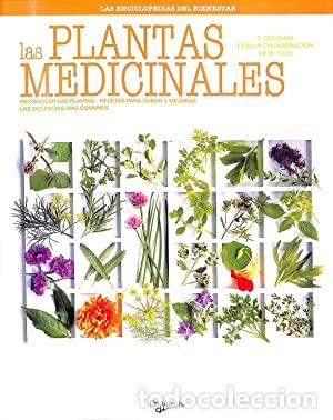 Libros: LAS PLANTAS MEDICINALES - Cechinni,T/Ticli,B. - Foto 1