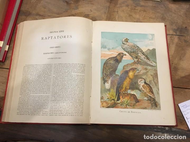 Libros: BREHM, A. E. Dr. - La vida de los animales (6 vols.) - Foto 8