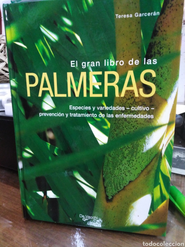 Libros: EL GRAN LIBRO DE LAS PALMERAS - GARCERAN, Teresa - Foto 1