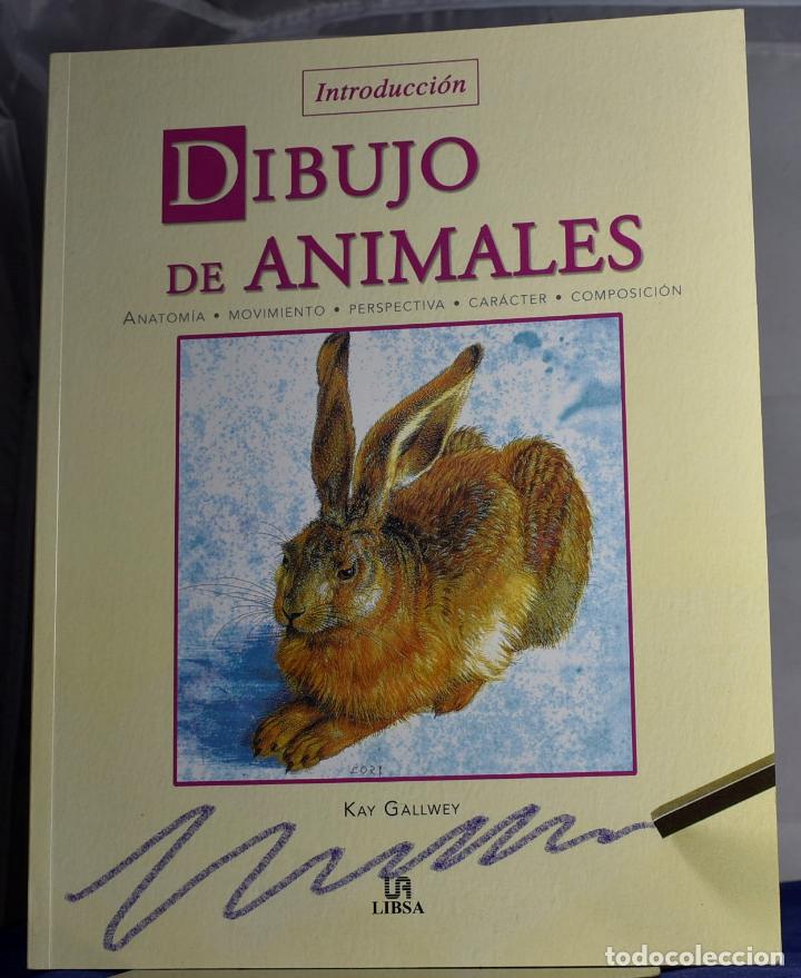 Libros: Introducci&oacute;n Dibujo de animales - Kay Gallwey - Foto 1