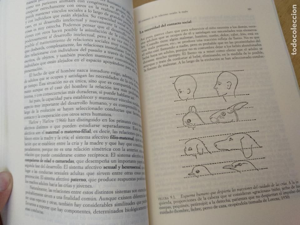 Libros: El desarrollo humano. Juan Delval. - Foto 10