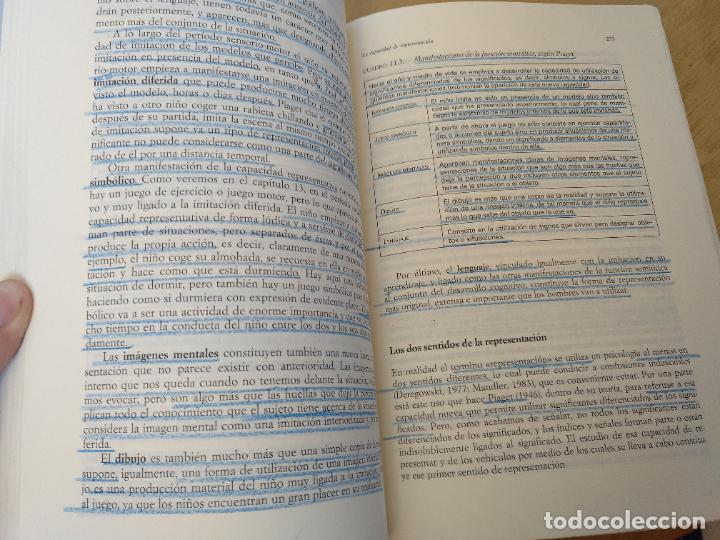 Libros: El desarrollo humano. Juan Delval. - Foto 11