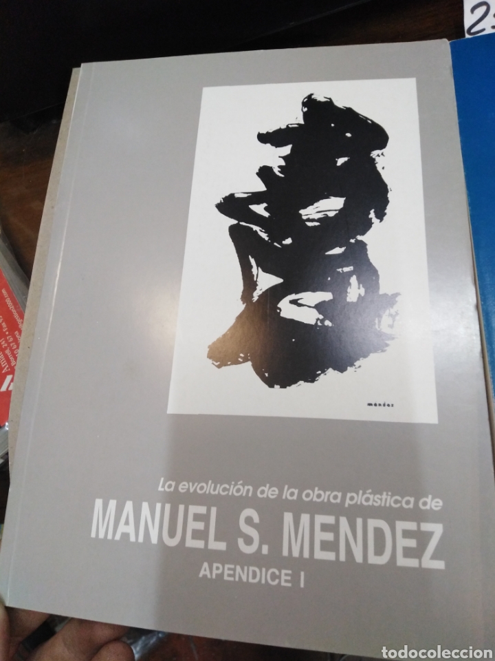 Libros: LA EVOLUCION DE LA OBRA PLASTICA DE MANUEL S. MENDEZ 1956-1990 - V. A. A. A. - Foto 2