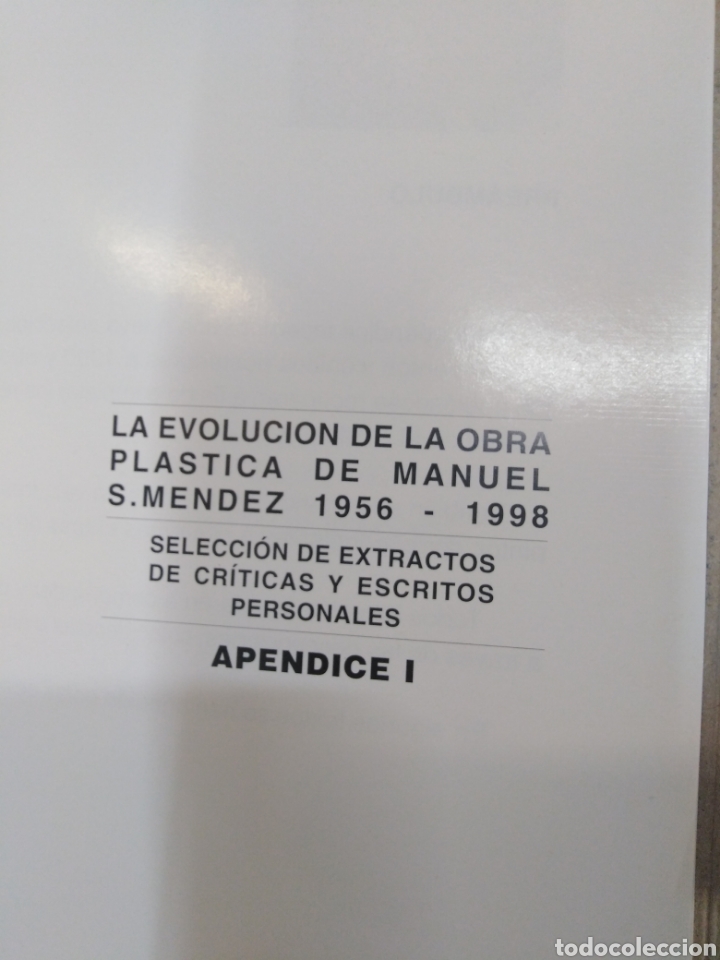 Libros: LA EVOLUCION DE LA OBRA PLASTICA DE MANUEL S. MENDEZ 1956-1990 - V. A. A. A. - Foto 5