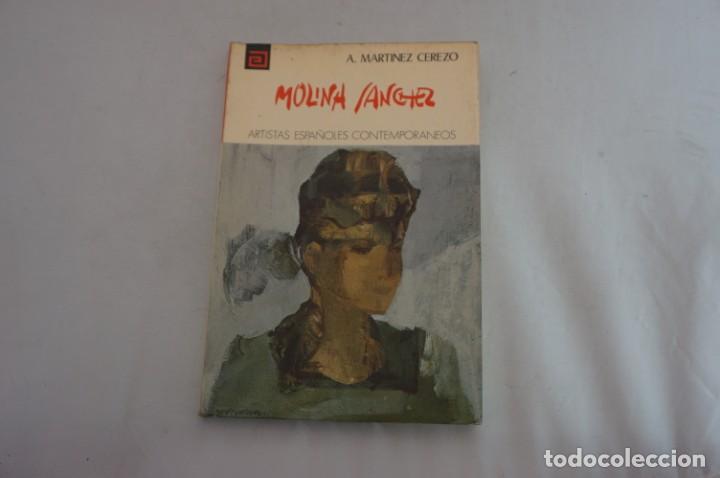 Libros: AR4D/ ARTISTAS ESPA&Ntilde;OLES CONTEMPORANEOS / MOLINA SANCHEZ - A. MARTINEZ CEREZO