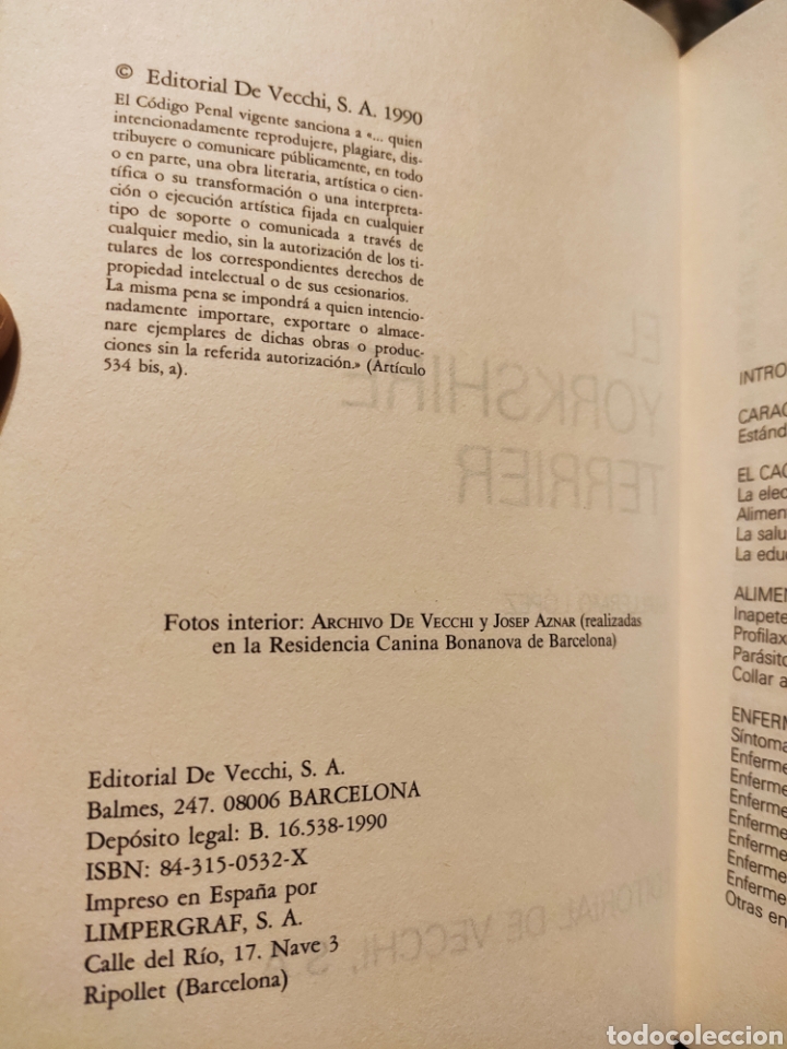 Libros: El Yorkshire Terrier. Guillermo L&oacute;pez. - Foto 3