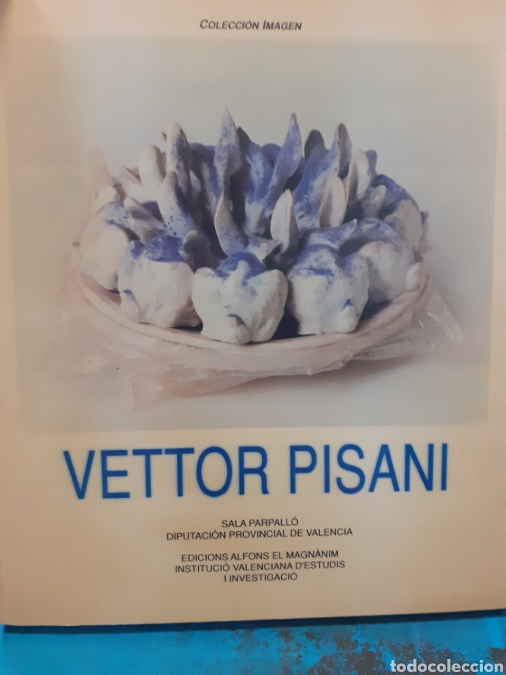 Libros: VETTOR PISANI. Colecci&oacute;n Imagen n&ordm; 16 - Foto 1