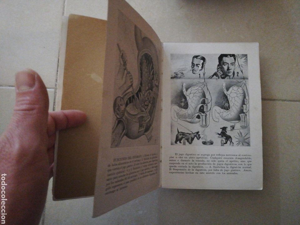 Libros: Dr Vander, comer bien, digerir mejor y curarse - Foto 3