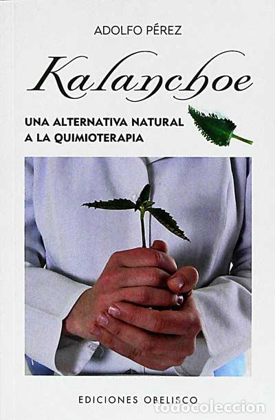 Libros: Kalanchoe - Adolfo P&eacute;rez - Foto 1